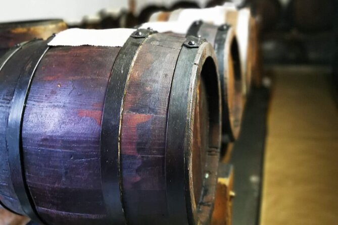 3 Hour E-bike Tour with Parmesan and Balsamic Vinegar - Starting Point and Tour Schedule in Castelvetro di Modena