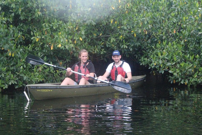3 Hour Guided Mangrove Tunnel Kayak Eco Tour - What’s Included and What to Bring