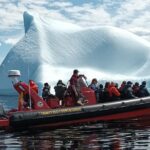 3 Hour Ocean Safari by Zodiac Boat -Whales & Icebergs seasonally - Discover the Geological Significance of Trinity in the UNESCO Geopark