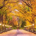 3-Hour Private New York Classic Films Guided Tour - Visiting Over 60 Manhattan Movie Locations in Just 3 Hours