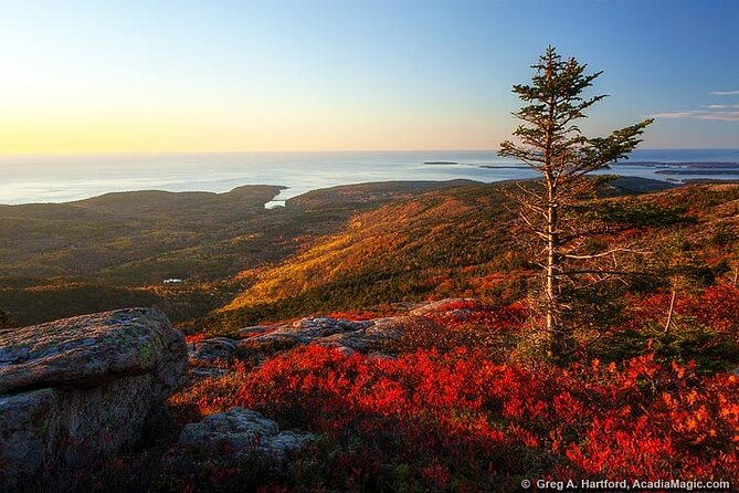 3 Hour Private Tour: Explore all the top spots of Acadia! - Navigating the Route: From Park Loop Road to Cadillac Mountain