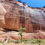 3 hour Private Tour in Chinle - What Makes This Private Tour Unique in Canyon de Chelly