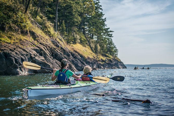 3-Hour Sea Kayak Tour in the San Juan Islands - Starting Point and Meeting Details in Anacortes