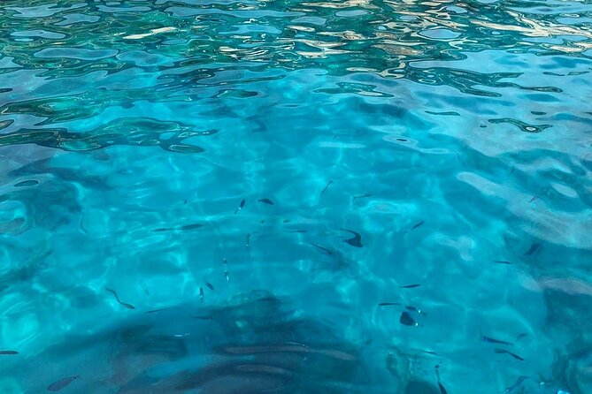 3 Hour shared Cinque Terre tour + Swim Stops at Secluded Beaches! - Viewing Cinque Terre Villages from the Water