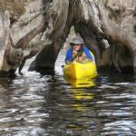 3 Hour Small Group Lake Norris Kayak Activity - Observing Florida’s Wildlife from Your Kayak