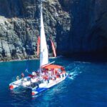 3-hour Whale and Dolphin Watching and Listening Tour - Exciting Marine Encounter at an Affordable Price