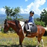 3 Hours Horse Back Riding Alanya - Scenic Ride Along the Mountain Foothills and Banana Gardens