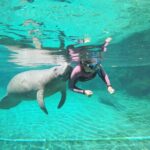 3 hours Manatee Swim Tour in Florida - Meeting Point and Accessibility Details