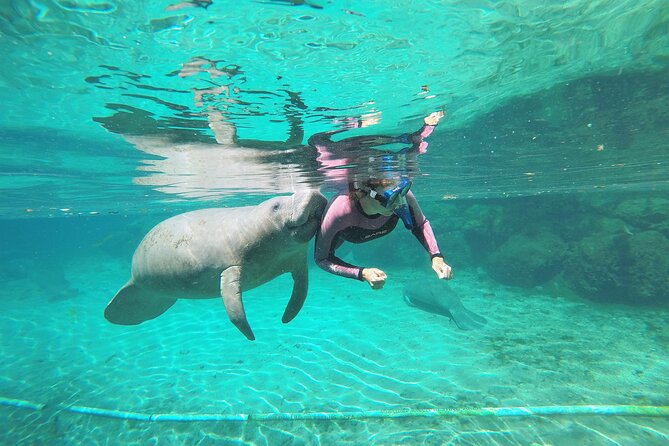 3 hours Manatee Swim Tour in Florida - Meeting Point and Accessibility Details