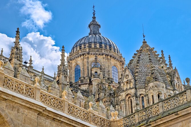 3 Hours Private Guided Walking Tour in Salamanca - Exploring the Palacio de Anaya and Salamanca’s Artistic Heritage
