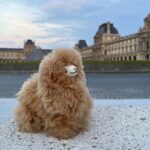 3-Hours Walking Tours Around Paris - Choose your own! - Notre-Dame de Paris and Its 800-Year History