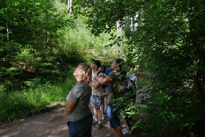 3 in 1 Tour Brewery & Castle in Bohemian Paradise Unesco Geopark - Starting Point and Transportation from Prague