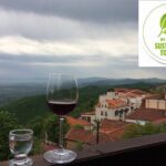 3 Organic Wineries Private Day Trip to Wine Province With Lunch and Tastings - The Value of a Private Organic Wine Tour in Kakheti