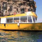 3h Boat Trip + Snorkeling in Puerto de Mogan - Snorkeling at El Perchel Cove: A Marine Wonderland