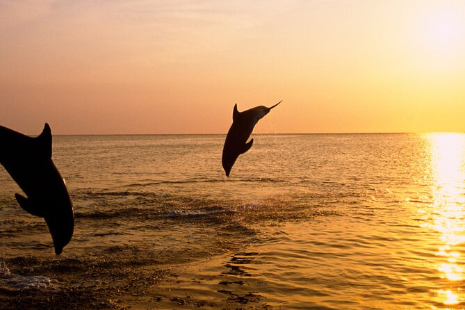 3hours all inclusive Sunset&Dolphin Tour from Medulin on Sandra - Departure from Medulin Harbor with Welcome Drinks