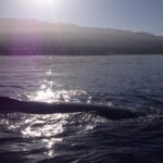 4 .5 Hour Molokini Snorkel Tour Adventure in Maui - Discovering the Coral Forest and Colorful Marine Life