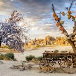 4 Day Cappadocia and Gobeklitepe Private Tour from Istanbul - Starting the Journey: From Istanbul to Cappadocia