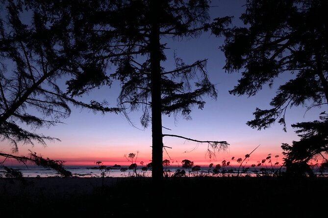 4-Day Olympic Backpacking Tour in North Coast - Navigating the Coastal Forest and Beach at Day 1