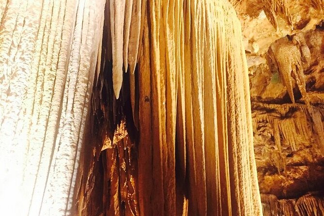 4-Day Tennessee Smoky Mountain Tour from NYC - Starting Point and Booking Details