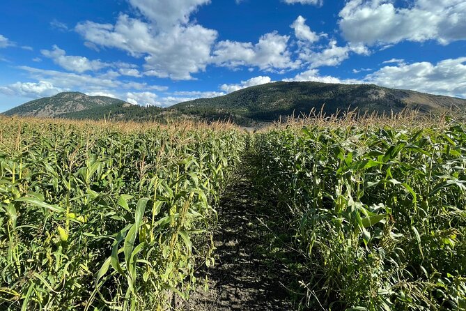 4 Days Canadian Rockies Fall/Spring Tour - Day 2: Visiting Lake Louise and Transitioning to Banff