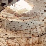 4 different cenotes with food from Merida - Starting the Adventure: Hotel Pickup and Journey to Homun