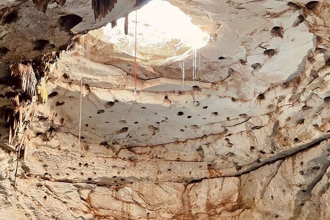 4 different cenotes with food from Merida - Starting the Adventure: Hotel Pickup and Journey to Homun