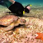4 Hour Cozumel Turtle Sanctuary Experience on a Luxury Catamarán - The Starting Point: Meeting at the Asta Bandera Monumental de Cozumel