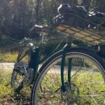 4 Hour Electric Bike Rentals in Asheville - Choosing the Right E-Bike: Aveny vs. Packa