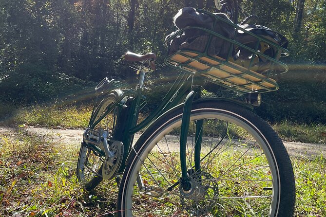 4 Hour Electric Bike Rentals in Asheville - Choosing the Right E-Bike: Aveny vs. Packa