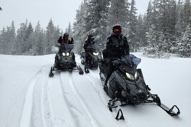4-Hour Guided Scenic National Monument Snowmobile Tour in Bend - Reach the Summit at Paulina Peak for Panoramic Views