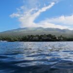 4-Hour Makena Whale Watch Tour - Guide and Service Quality with Aloha Kayaks Maui