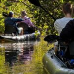 4-Hour Mangrove Island and Dolphin Watch Sandbar in Fort Pierce - Meeting Point at Fort Pierce for the Mangrove Tour