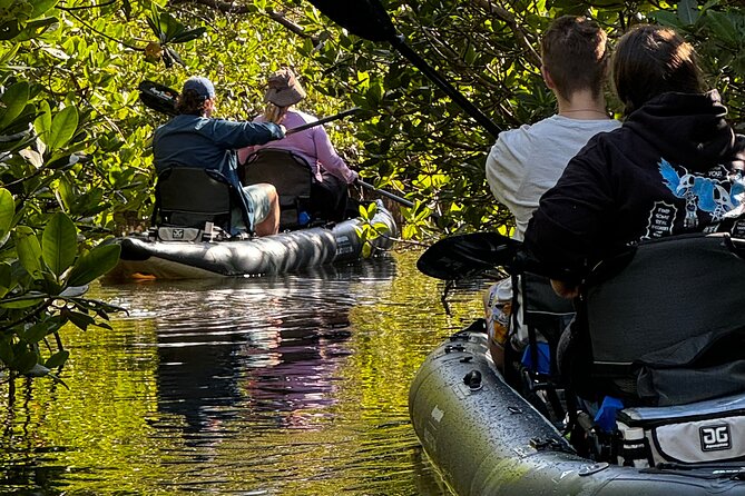 4-Hour Mangrove Island and Dolphin Watch Sandbar in Fort Pierce - Meeting Point at Fort Pierce for the Mangrove Tour
