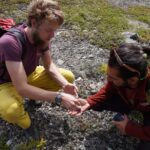4 Hour Off-Trail Hiking Tour in Denali - Off-Trail Exploration in Denalis Forest and Tundra Ecosystems