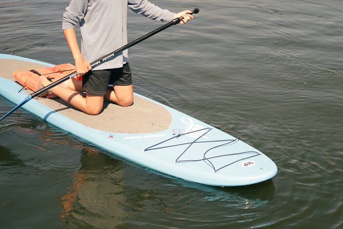 4 Hour Paddle Board Rental - What’s Included in the Rental Experience