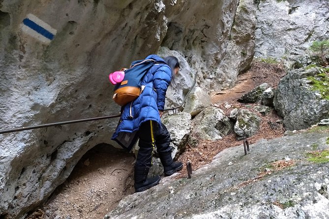 4-Hour Private Alpine Great George at High Wall Mountain from Vienna - Efficient Transportation from Vienna’s Central Station
