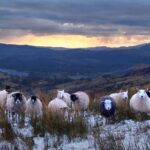 4 hour Private Lake District tour (tour B) - A Private Tour with Flexibility and Personal Attention