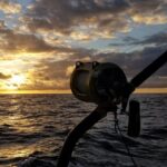 4 Hour Private Sunset Fishing Charter - The Fish Species You Might Encounter