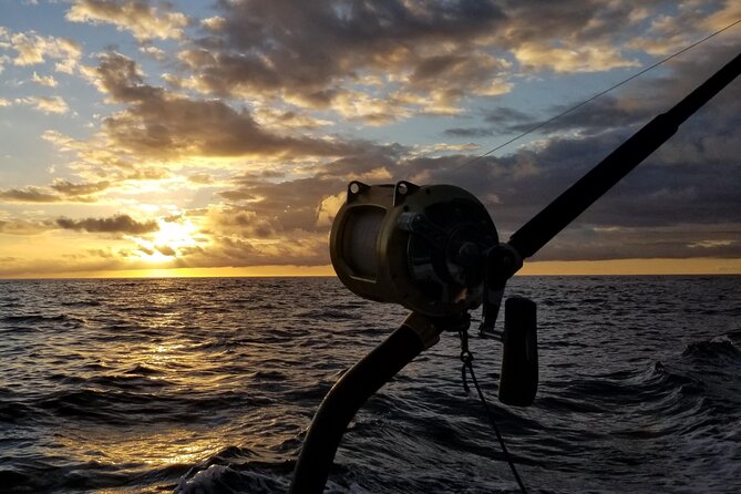 4 Hour Private Sunset Fishing Charter - The Fish Species You Might Encounter
