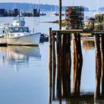 4 Hour Private Tour: Acadia, Fjord, Gardens & Mansions - Exploring Cadillac Mountain and 27 Miles of Park Loop Road