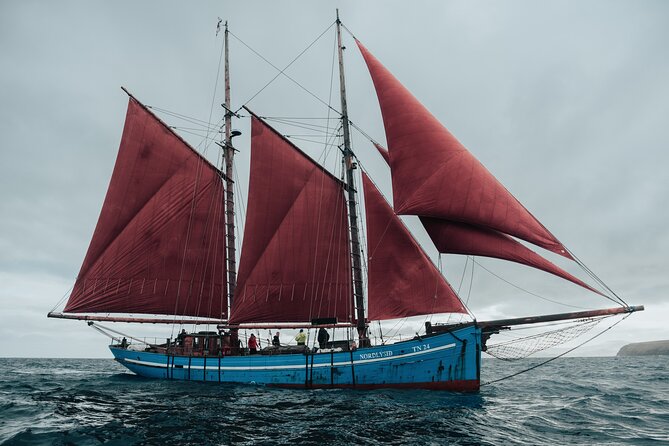 4-hour sightseeing onboard Iconic Faroese Sailing Ship - Modern Amenities on an Authentic Faroese Ship
