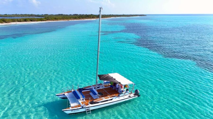 4 Hour Turtle Sanctuary Experience on a Luxury Catamarán - Embarking on the Snorkel Adventure from Cozumel
