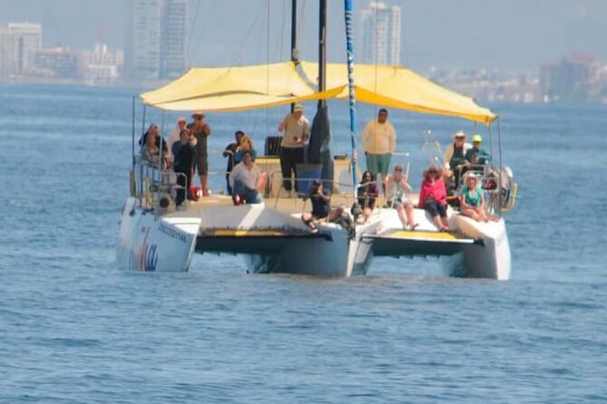 4-hour whale watching in magical Mazatlan - The Whales: A Seasonal Natural Spectacle