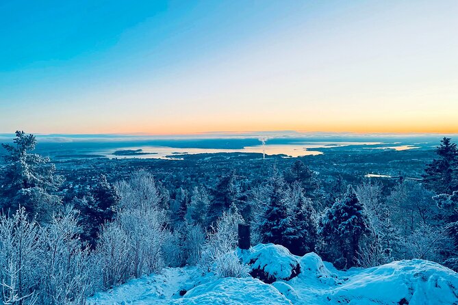 4 hours Best View of the Oslofjord Winter Edition - Starting the Adventure at Frognerseteren and the Scenic Metro Ride