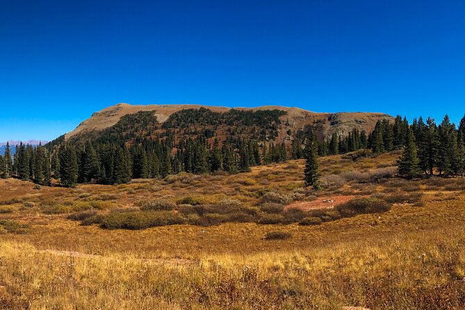 4 Hours Durango Colorado - Jeep Tour - Expert Guides and Their Engaging Style