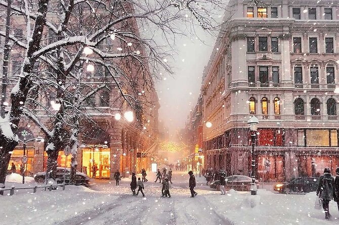 4 hours Helsinki and Porvoo Guided VIP Tour by Luxury Car - Exploring Helsinki’s Old Market Hall and Food Scene