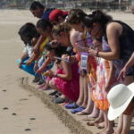 *4 Hours Shore Excursion With Cruise Ship Terminal Pick Up. - Exploring Acapulcos Iconic La Quebrada Cliff Divers