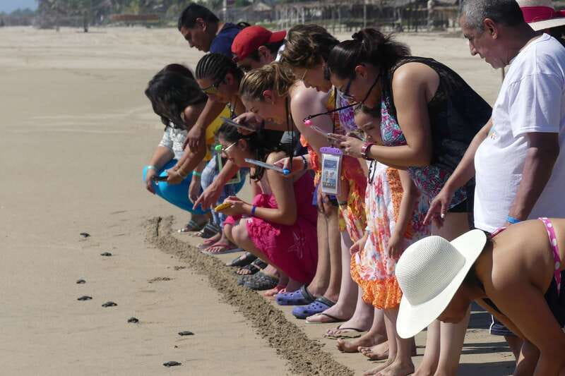 *4 Hours Shore Excursion With Cruise Ship Terminal Pick Up. - Exploring Acapulcos Iconic La Quebrada Cliff Divers
