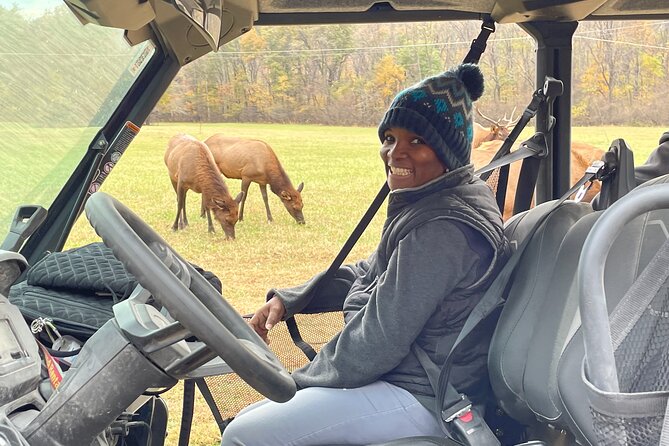 (4 HR) UTV ECO Elk Wilderness Adventure - Excursion Through the Ridgeline Trails