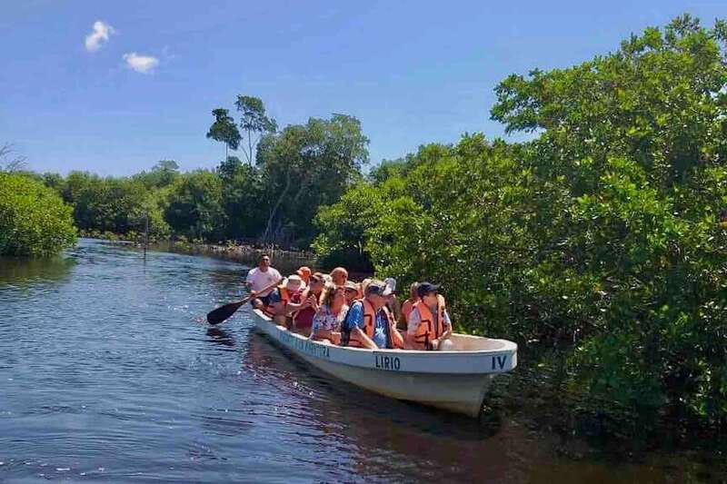 4-in-1 Tour - Mazunte, Cacao Factory & Turtle Spawn/Release - The Cacao Factory of Franco García: A Sweet Introduction to Local Chocolate
